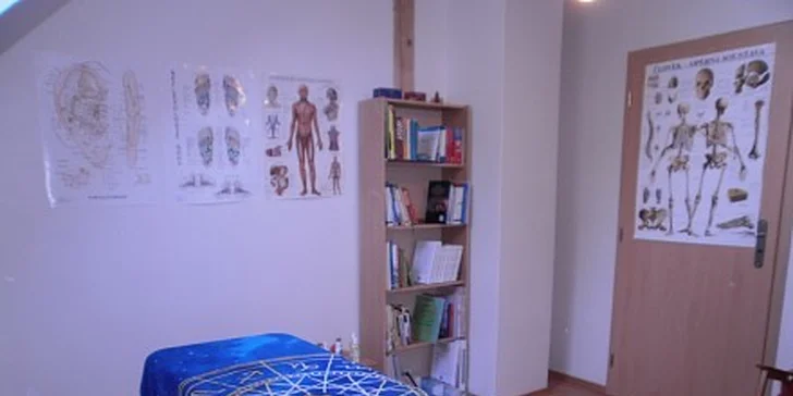 250 Kč za 50 minut uvolňující masáže zad, šíje a Indické masáže hlavy