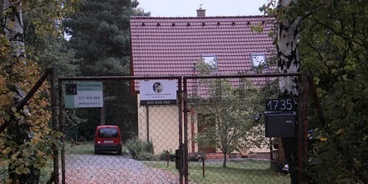 250 Kč za 50 minut uvolňující masáže zad, šíje a Indické masáže hlavy