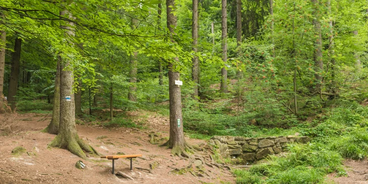 Ubytování ve srubových chatkách Bunč s wellness a polopenzí pro 2 i rodinu