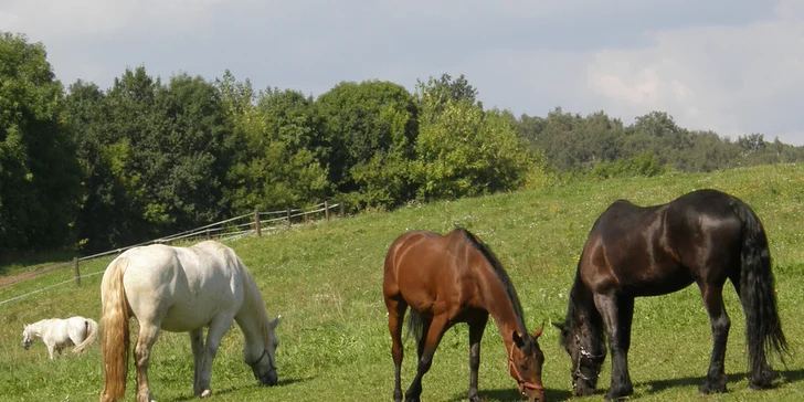 Tři pohodové dny na statku u Krušných hor s polopenzí a vyjížďkou na koni