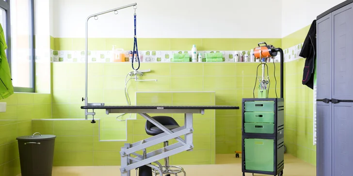 To nejlepší pro psí miláčky: wellness nebo kompletní péče vč. úpravy drápků