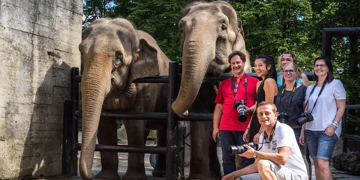 6hodinový fotografický kurz v českých zoo s profíkem Patrikem Staňkem