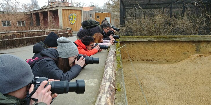 6hodinový fotografický kurz v českých zoo s profíkem Patrikem Staňkem
