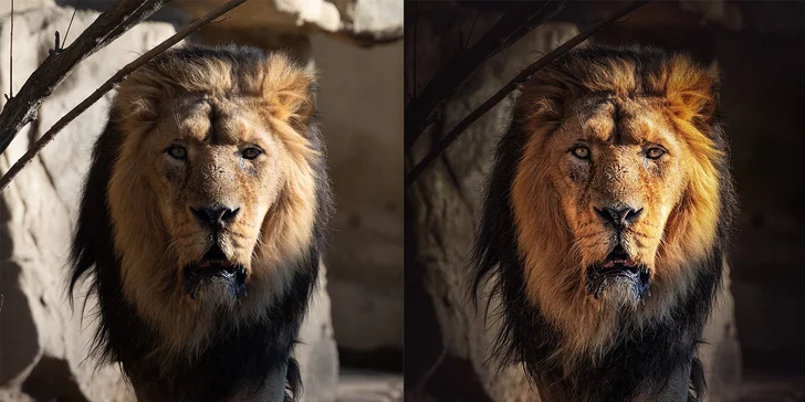Kurz postprodukce fotografií v programu Photoshop pro začátečníky