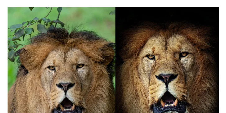 Kurz postprodukce fotografií v programu Photoshop pro začátečníky
