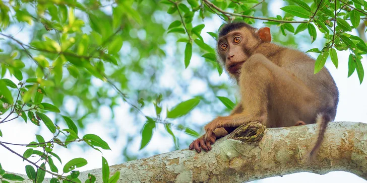 6hodinový fotografický kurz v českých zoo s profíkem Patrikem Staňkem