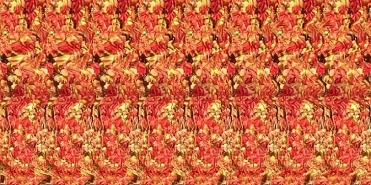 49 Kč za magický trojrozměrný obrázek (stereogram) na míru v hodnotě 99 Kč