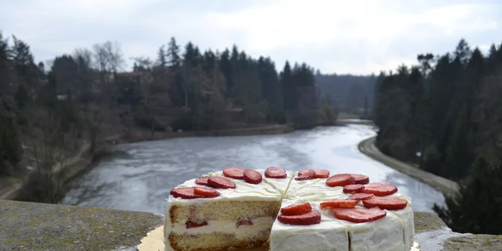 Domácí dort z kavárny Taroucafé: pařížský, punčový, jahodový i tiramisu