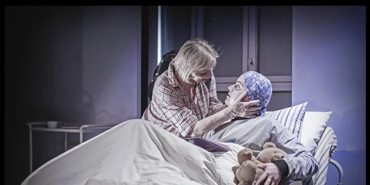 Vstup do Městského divadla Kladno na představení Oskar a růžová paní
