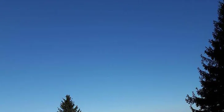 Psi jsou velmi kontaktní a přátelští, proto je vhodné si vzít outdoorové oblečení, které si můžete zašpinit. 