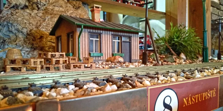Burger z anguse s cheddarem, hranolky a salát i nápoj pro 1 či 2 ososby