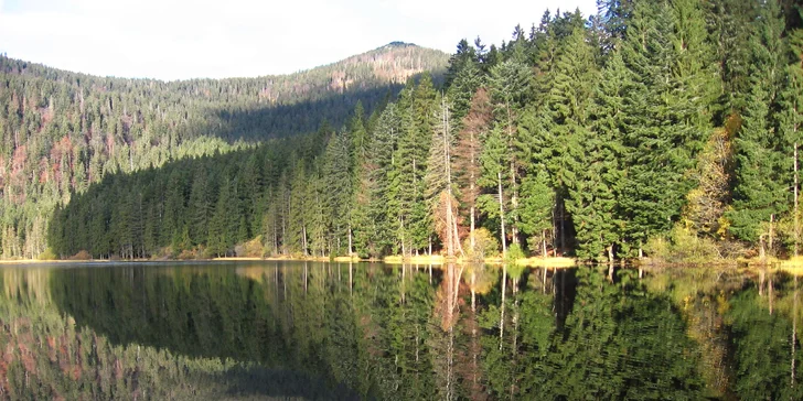 Na hory do Bavorského lesa: all inclusive light, sauna, bazén i výlety