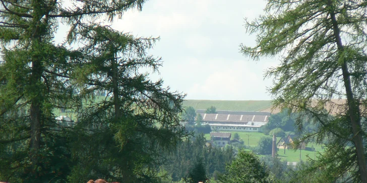 Aktivní pobyt v penzionu s biofarmou až pro 7 osob: polopenze, venkovní bazén i hovězí speciality