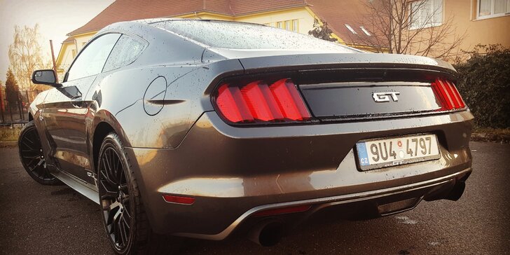 Jízda v Mustangu GT 5.0: 30 nebo 60 min. spolujízdy či řízení