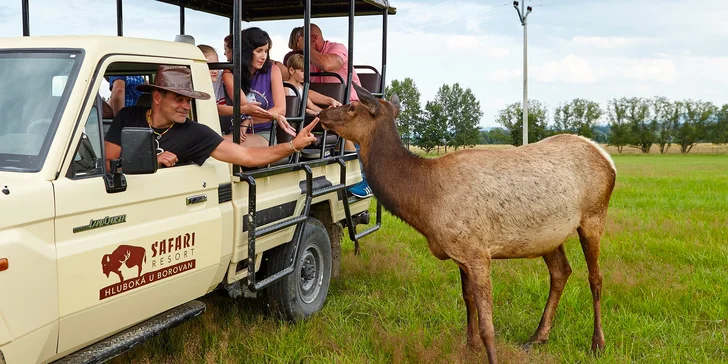 V ceně pobytu máte i vstup a projížďku po safari.