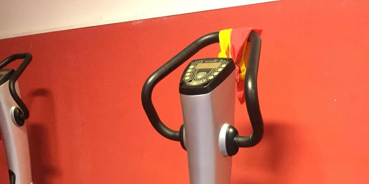 1, 5 nebo 10 lekcí: cvičení na vibrační plošině pod dohledem instruktora