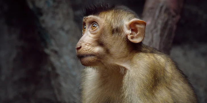 Za den fotografem: fotografické kurzy v pražské zoo nebo centru Prahy