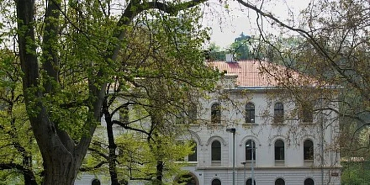 999 Kč za kurz angličtiny Komunikace a vyjednávání v obchodním styku