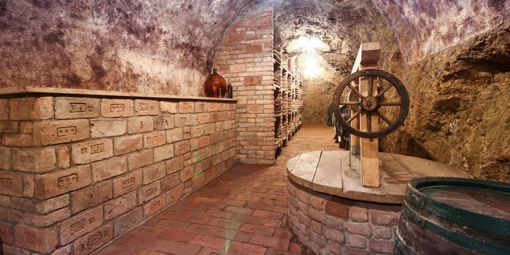 Pobyt v Zaječí vč. polopenze a degustace ve vinném sklípku