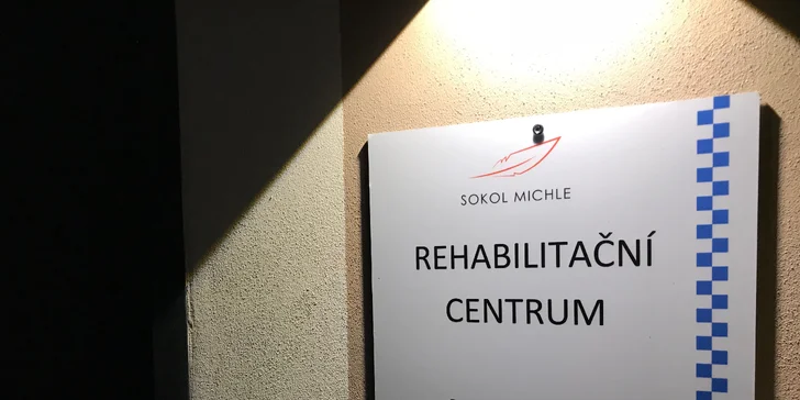 60 nebo 90 min. fyzioterapie se sestavením cvičebního plánu pro 1 os.