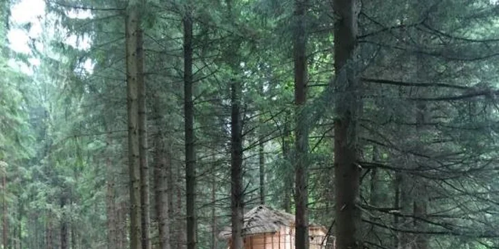 Romantika v korunách stromů: vyhlídkový posed na Šumavě až pro 4 osoby