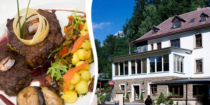 1699 Kč za romantickou noc pro DVA s 6chodovým degustačním menu, ochutnávkou francouzských vín a snídaní. Nejlepší kuchyně v Liberci a sleva 52 %.