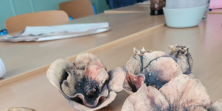 Popadněte přátele a vydejte se na workshop, z něhož si každý odnese vlastnoručně vytvořený výrobek. 