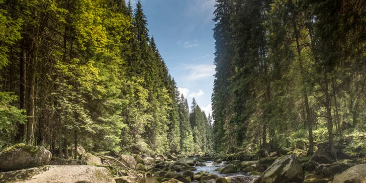 Zimní pohoda ve stylovém horském penzionu na Šumavě: polopenze a privátní wellness