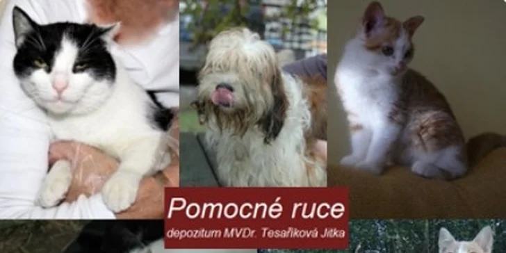 Přispějte 50 Kč a podpořte depozitum pro opuštěná a zraněná zvířátka