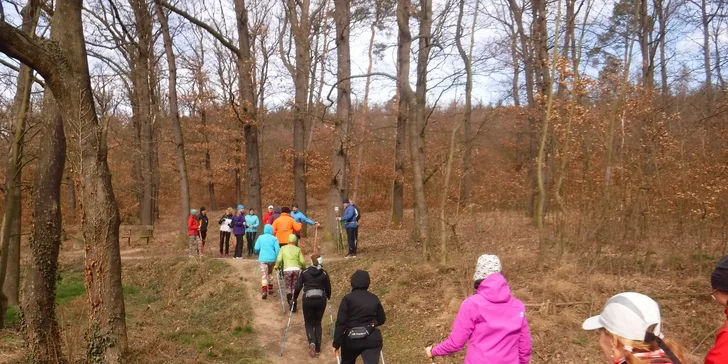 Zdravý den v přírodě: 2hodinový Nordic walking s instruktorkou