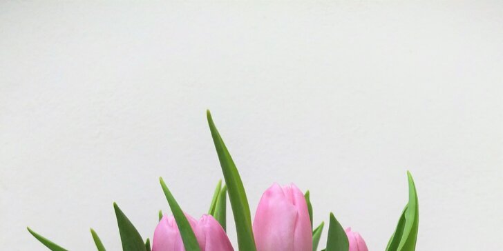 Dárková taška nádherných barevných holandských tulipánů vč. dopravy