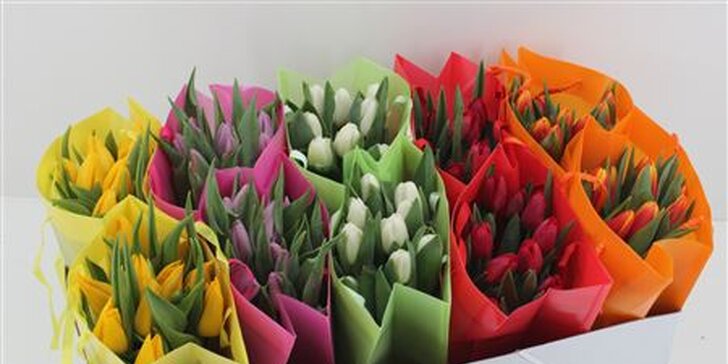 Dárková taška nádherných barevných holandských tulipánů vč. dopravy