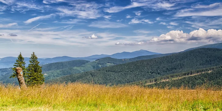 Letní pohoda v Krkonoších: apartmány s kuchyňkou i 1,5 hod. sauny