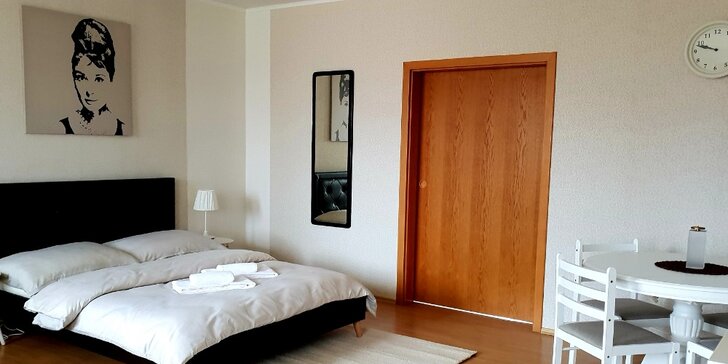Moderní apartmány na jižní Moravě pro 8 až 12 osob vč. vířivky a sauny