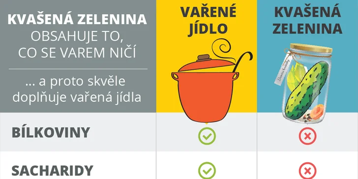 Online kurz Kvašená zelenina: téměř 4 hod. videí a další studijní materiály