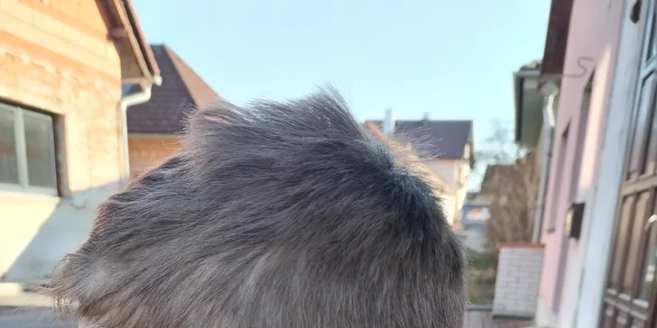 V nabídce je rovněž dětské stříhání, vhodné pro všechny ratolesti do 8 let věku. 