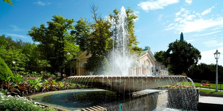 Luxusní lázeňský pobyt s procedurami v 4* hotelu ve Františkových Lazních