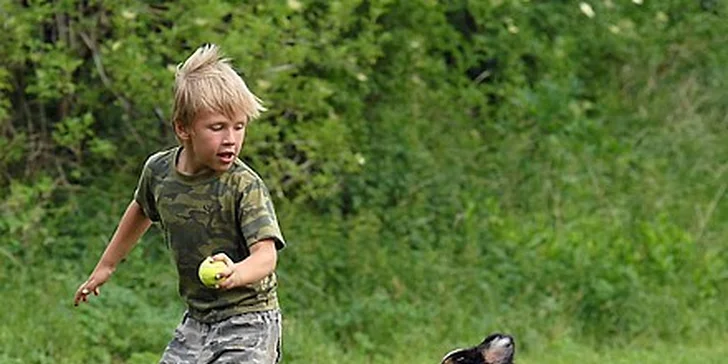 Poslouchá váš pes nebo vy posloucháte jeho?  Hodinový výcvik je za 79 Kč