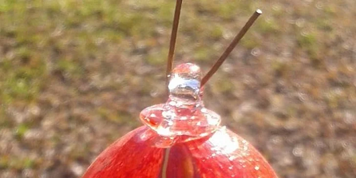 65 Kč za Velikonoční vejce v původní hodnotě 140 Kč
