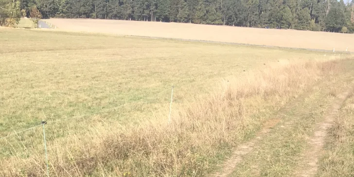2 hodiny na ranči: péče o koně i vyjížďka do přírody až pro 2 osoby