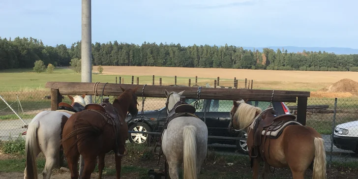 2 hodiny na ranči: péče o koně i vyjížďka do přírody až pro 2 osoby