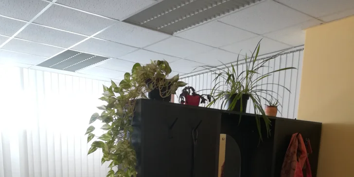 Víkendové masáže: uvolnění pro chodidla i nohy