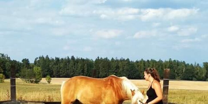 2 hodiny na ranči: péče o koně i vyjížďka do přírody až pro 2 osoby