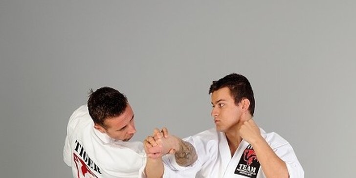 MMA, Jiu Jitsu nebo sebeobrana: 1 vstup nebo permanentka