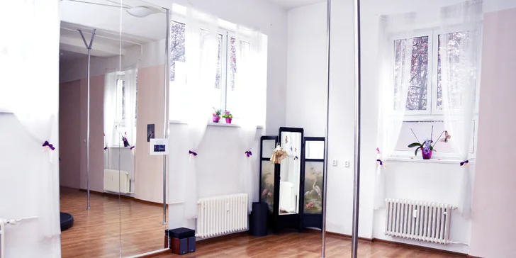 Protáhněte tělo: Lekce pole dance, aerial silks, aerial hoop a flexi dle výběru