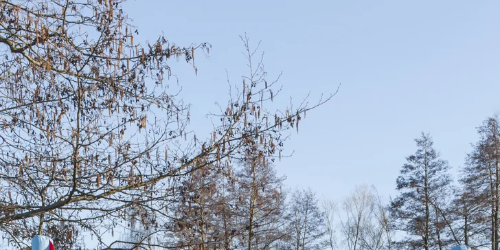 Ať je zahradní party dokonalá: pronájem skákacího hradu či vodní skluzavky