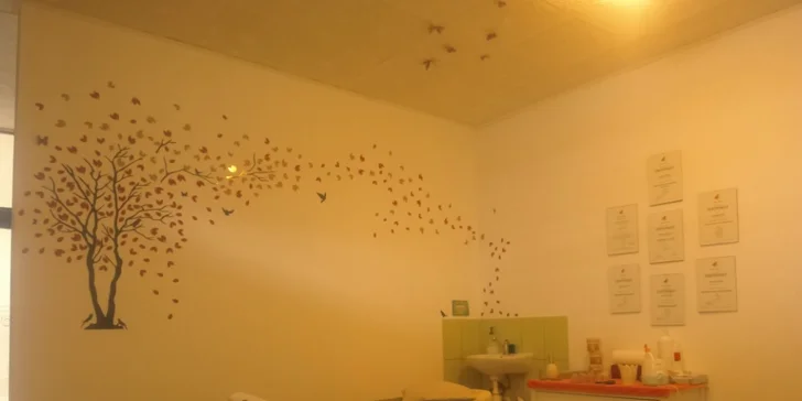 90minutový relax: wellness balíček pro dokonalé uvolnění