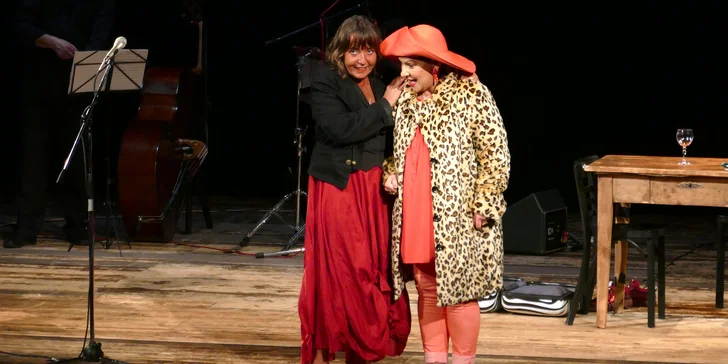 Vstupenka na divadelní představení: Carmen Y Carmen
