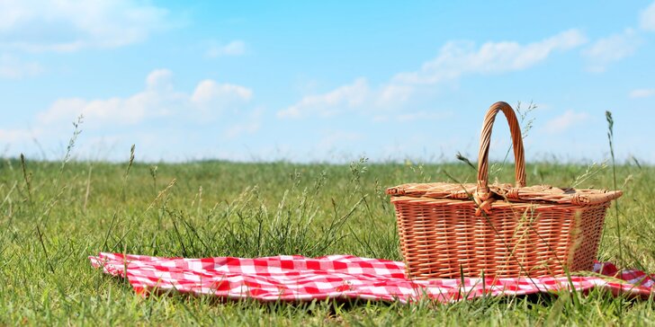 Piknik pro 1 nebo pro 2 s dekou: panini, salát, limonáda i dezert