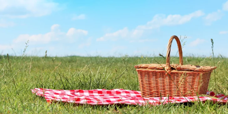 Piknik pro dva: sekt, panini, toasty, limonáda i medovník nebo muffin